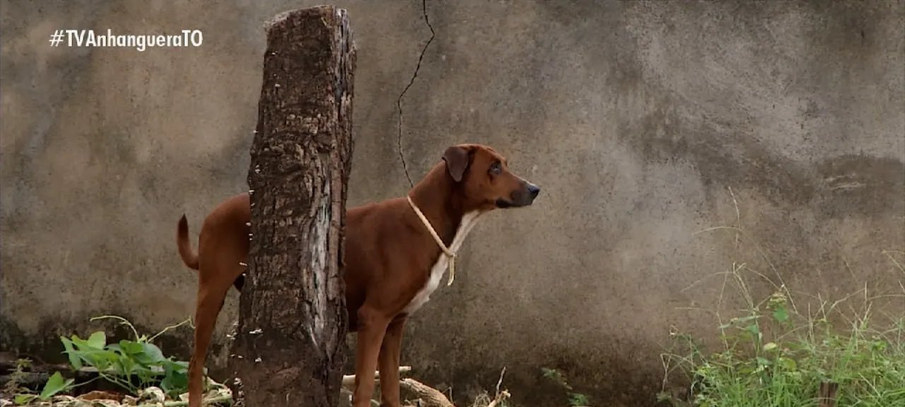 Depoentes no caso Banco Master serão ouvidos pela PF no STF a partir das 14h - Imagem do artigo