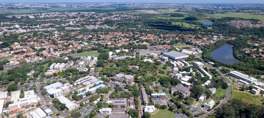 Vírus H1N1 e H3N2 constam entre amostras furtadas em laboratório da Unicamp - Imagem do artigo original