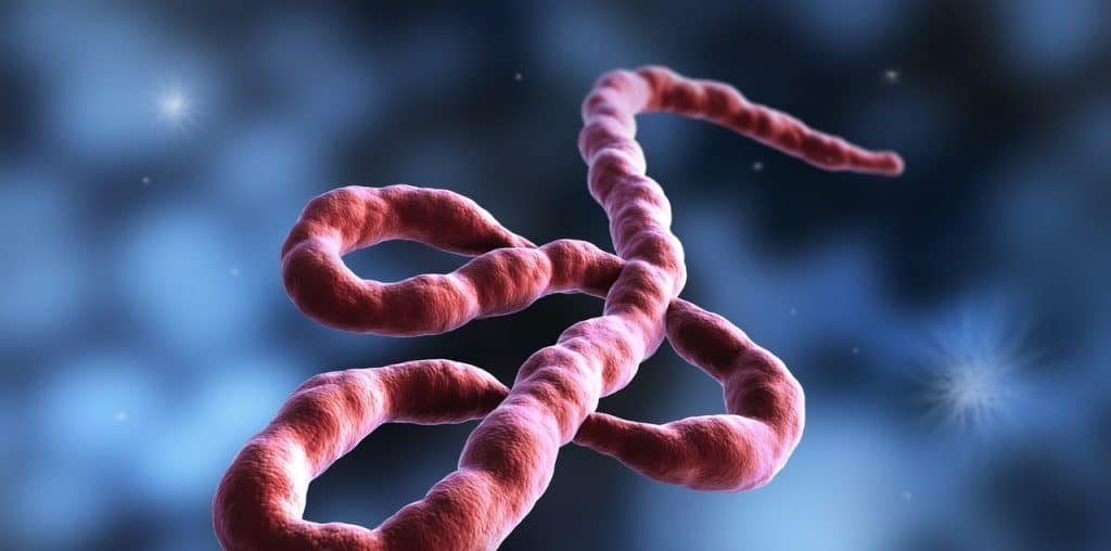 Ebola circulou por quatro semanas no Congo antes de confirmação de surto, diz OMS - Imagem do artigo original