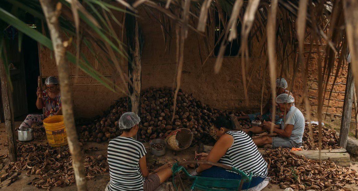 Atividade das quebradeiras de coco babaçu é reconhecida como manifestação cultural do Brasil - Imagem do artigo original