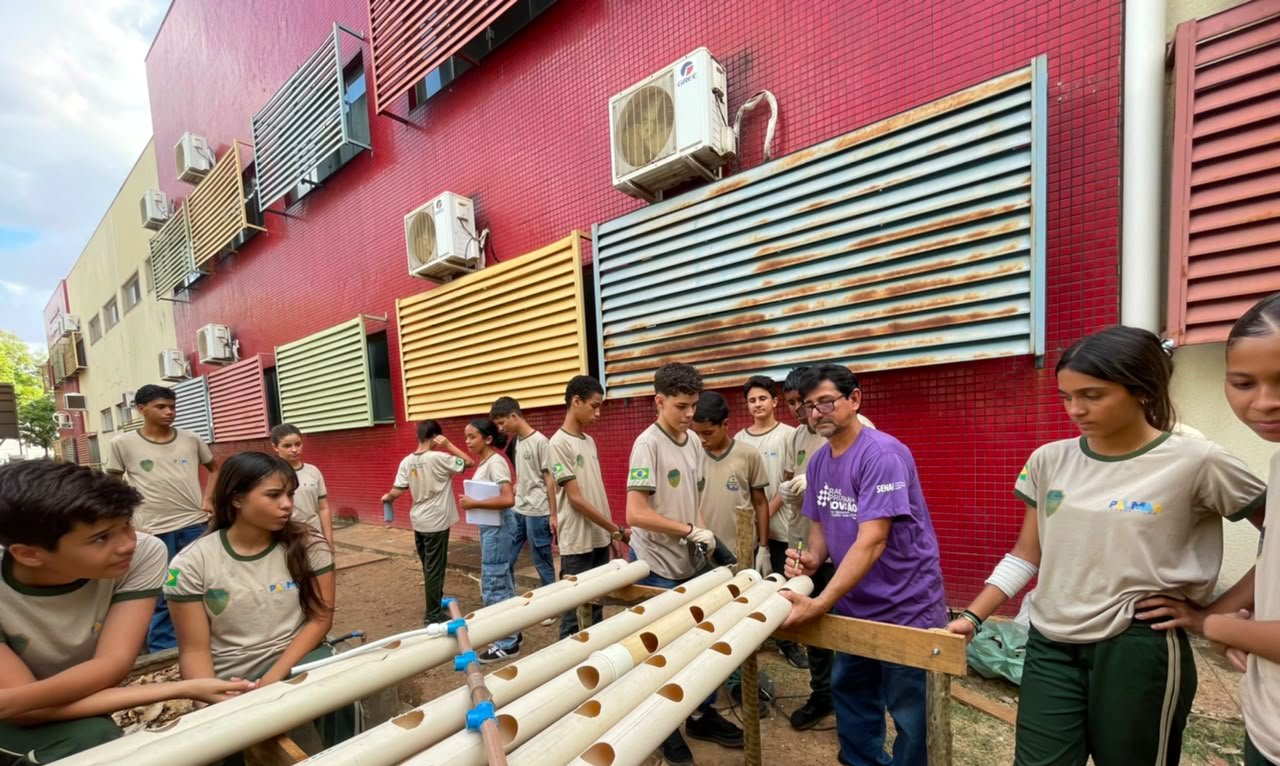 Estudantes da ETI Caroline Campelo iniciam curso de horta hidropônica em parceria com Senai Tocantins - Imagem do artigo