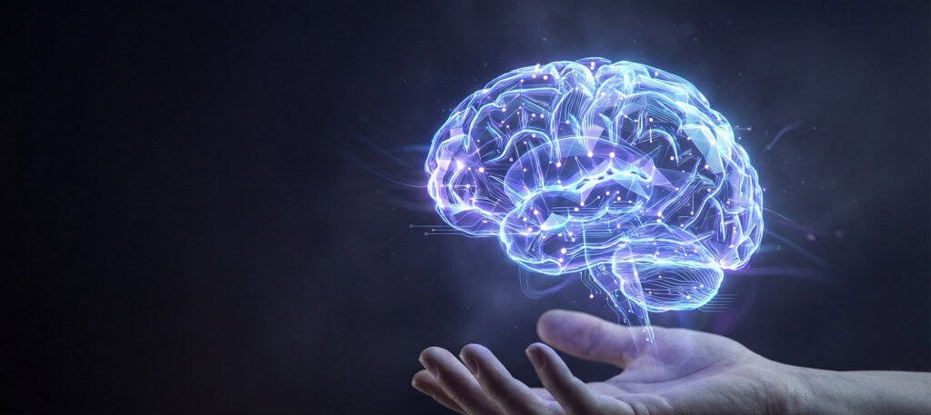 Cerebelo antecipa toques e impede que façamos cócegas em nós mesmos - Imagem do artigo original