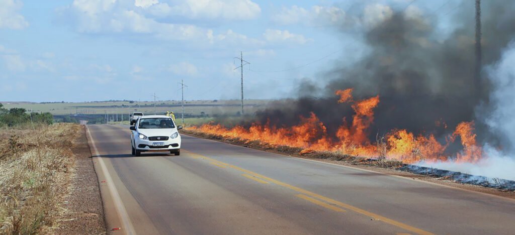 Tocantins proíbe queima controlada até 31 de outubro devido ao período de estiagem - Imagem do artigo